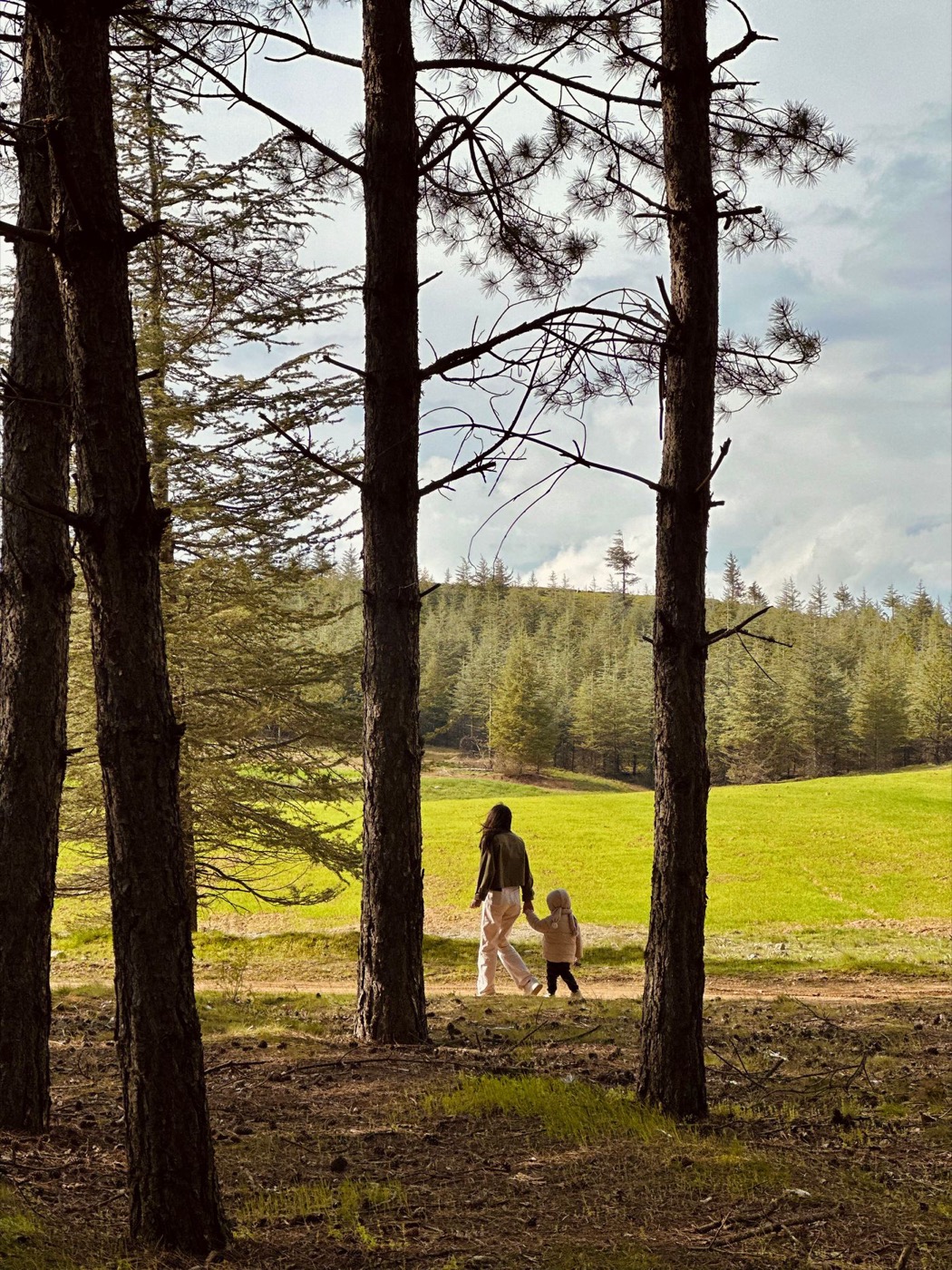 A mother and a small child walking hand in hand along a path at the edge of a green field.